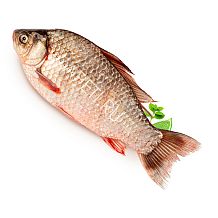 Карась охлажденный без чистки