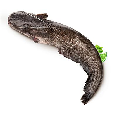  Сом охлажденный в интернет-магазине свежих фермерских продуктов Apeti.ru