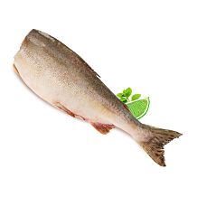 Горбуша без головы 0,8 - 1,2/ L1 кг