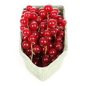 Смородина красная в Apeti.ru  Смородина красная в интернет-магазине свежих фермерских продуктов Apeti.ru