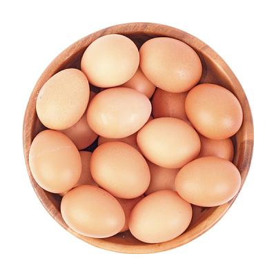  Яйцо куриное желтое С1 10 шт в интернет-магазине свежих фермерских продуктов Apeti.ru