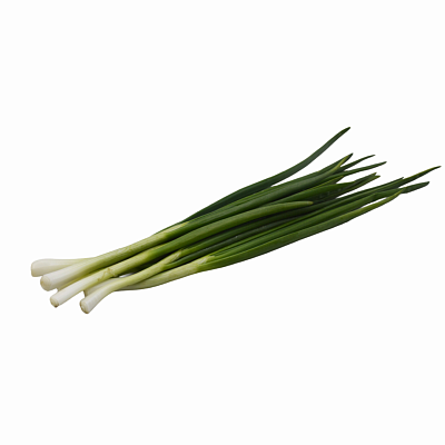 Лук зеленый Россия