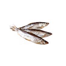 Шамайка вяленая крупная