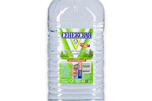  Вода питьевая Сенежская негазированная 5 л в интернет-магазине продуктов с Преображенского рынка Apeti.ru