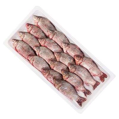 Карась оптом охлажденный