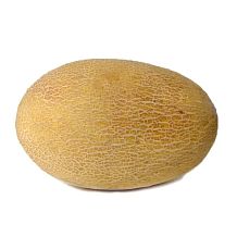 Дыни из Казахстана