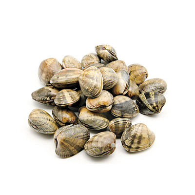  Клемы Ванголе 31/40 свежемороженые  в интернет-магазине свежих фермерских продуктов Apeti.ru