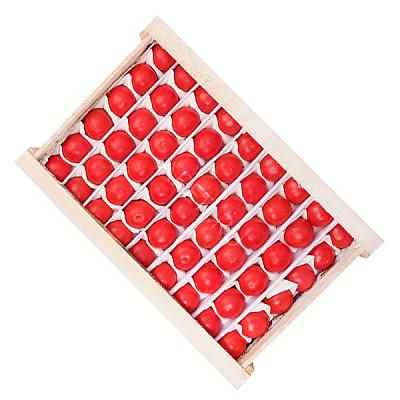 Помидоры узбекские ОПТ в Apeti.ru Помидоры узбекские ОПТ в интернет-магазине свежих фермерских продуктов Apeti.ru