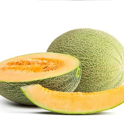  Дыня Хами в интернет-магазине свежих фермерских продуктов Apeti.ru