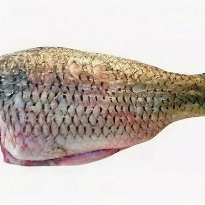 Карась тушка свежемороженая 1 кг в Apeti.ru Карась тушка свежемороженая 1 кг в интернет-магазине свежих фермерских продуктов Apeti.ru