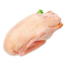 Гусь замороженный домашний
