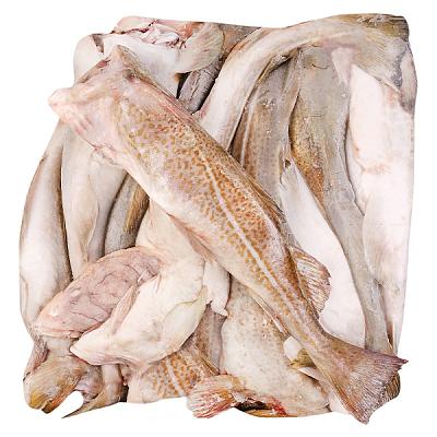  Треска мурманская замороженная 0,5-1 кг ОПТ в интернет-магазине свежих фермерских продуктов Apeti.ru