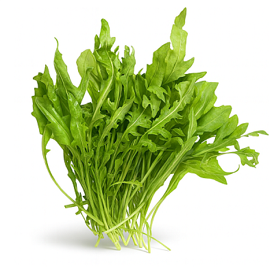 Свежая руккола