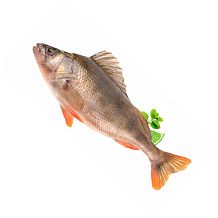 Окунь охлажденный 1 кг
