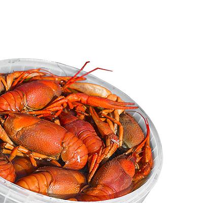  Раки вареные крупные 50/65 г в интернет-магазине свежих фермерских продуктов Apeti.ru