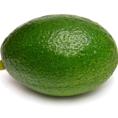  Авокадо Гигант 1 шт в интернет-магазине свежих фермерских продуктов Apeti.ru