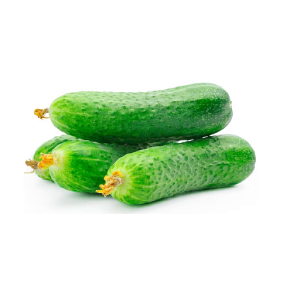  Огурцы Меренго в интернет-магазине свежих фермерских продуктов Apeti.ru