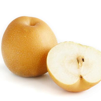 Груша китайская в Apeti.ru Груша китайская в интернет-магазине свежих фермерских продуктов Apeti.ru