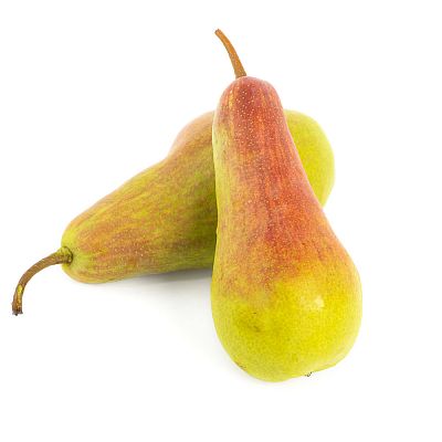 Груша Талгарская красавица