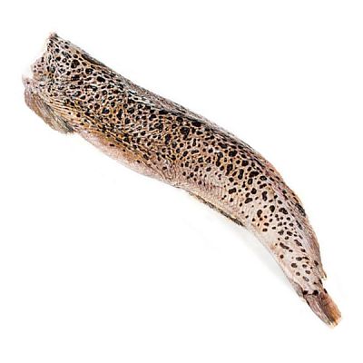 Зубатка пестрая