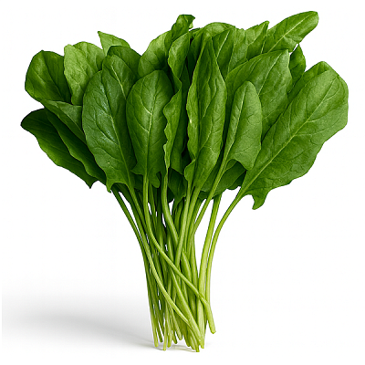 Щавель в Apeti.ru Щавель в интернет-магазине свежих фермерских продуктов Apeti.ru