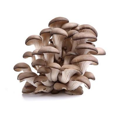  Вешенки свежие Россия  280 г в интернет-магазине свежих фермерских продуктов Apeti.ru