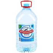 Вода Черноголовка негазированная артезианская 5 л