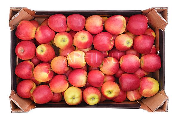  Яблоки гала ОПТ в интернет-магазине продуктов с Преображенского рынка Apeti.ru