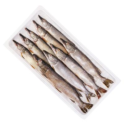  Щука охлажденная ОПТ в интернет-магазине свежих фермерских продуктов Apeti.ru