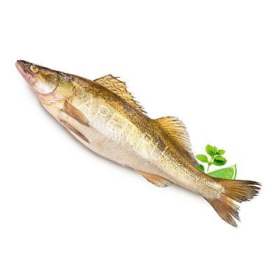  Судак азовский охлажденный  в интернет-магазине свежих фермерских продуктов Apeti.ru