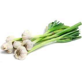  Чеснок ранний пучок ~ 120г  в интернет-магазине свежих фермерских продуктов Apeti.ru