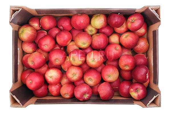  Яблоки Прима-Руш ОПТ в интернет-магазине продуктов с Преображенского рынка Apeti.ru