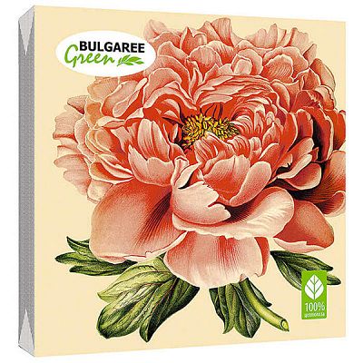 Салфетки Bulgaree трехслойные пионы 33*33 см