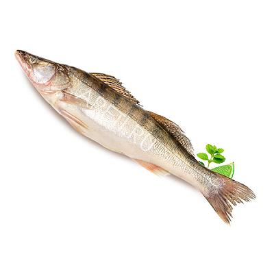  Судак азовский охлажденный средний в интернет-магазине свежих фермерских продуктов Apeti.ru