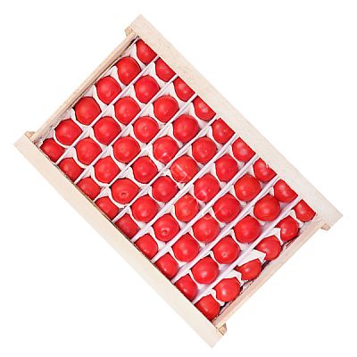 Узбекские помидоры оптом