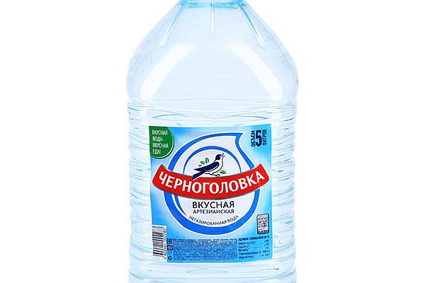  Вода Черноголовка негазированная артезианская 5 л в интернет-магазине продуктов с Преображенского рынка Apeti.ru