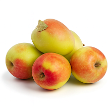 Яблоки синап кандиль