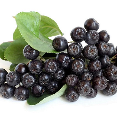 Рябина черная сезонная в Apeti.ru Рябина черная сезонная в интернет-магазине свежих фермерских продуктов Apeti.ru