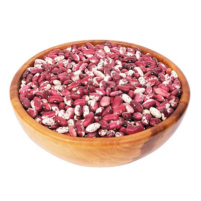 Фасоль ласточка