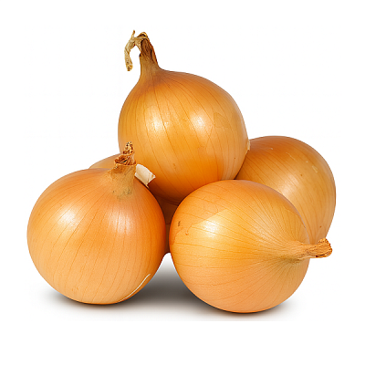  Лук репчатый в интернет-магазине свежих фермерских продуктов Apeti.ru