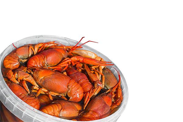  Раки вареные крупные 50/65 г в интернет-магазине продуктов с Преображенского рынка Apeti.ru