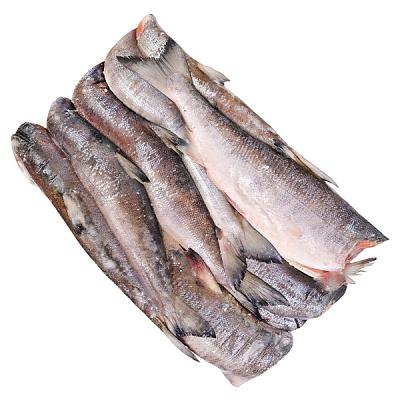  Кета замороженная ОПТ в интернет-магазине свежих фермерских продуктов Apeti.ru