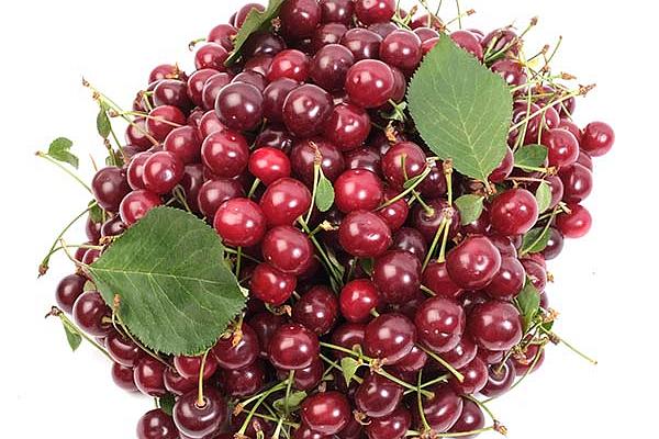  Вишня свежая в интернет-магазине продуктов с Преображенского рынка Apeti.ru