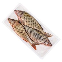 Карп оптом охлажденный