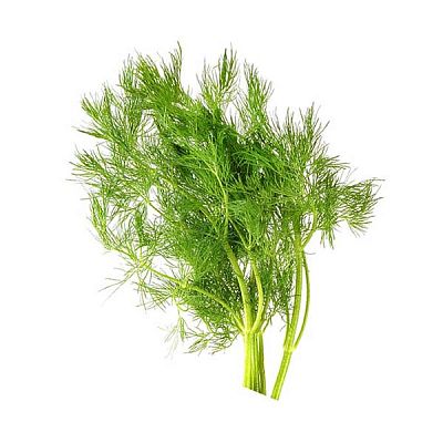 Укроп - подарок