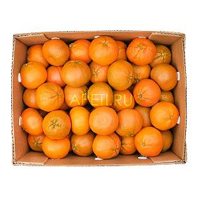  Мандарины (Турция) ОПТ в интернет-магазине свежих фермерских продуктов Apeti.ru