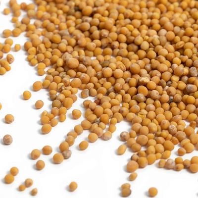  Горчица зерно на развес 100 г в интернет-магазине свежих фермерских продуктов Apeti.ru
