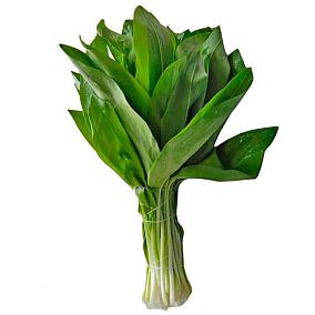  Черемша свежая в интернет-магазине свежих фермерских продуктов Apeti.ru