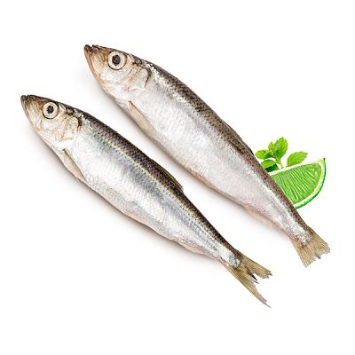 Салака замороженная 1 кг в Apeti.ru Салака замороженная 1 кг в интернет-магазине свежих фермерских продуктов Apeti.ru