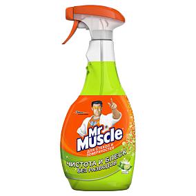  Средство для мытья стекол Mr.Muscle лайм 500 мл в интернет-магазине свежих фермерских продуктов Apeti.ru